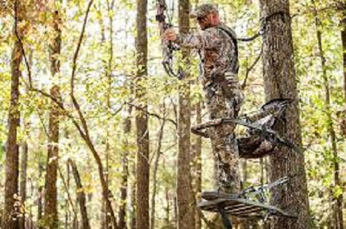THINGS TO KNOW BEFORE BUYING BEST CLIMBING TREE STAND